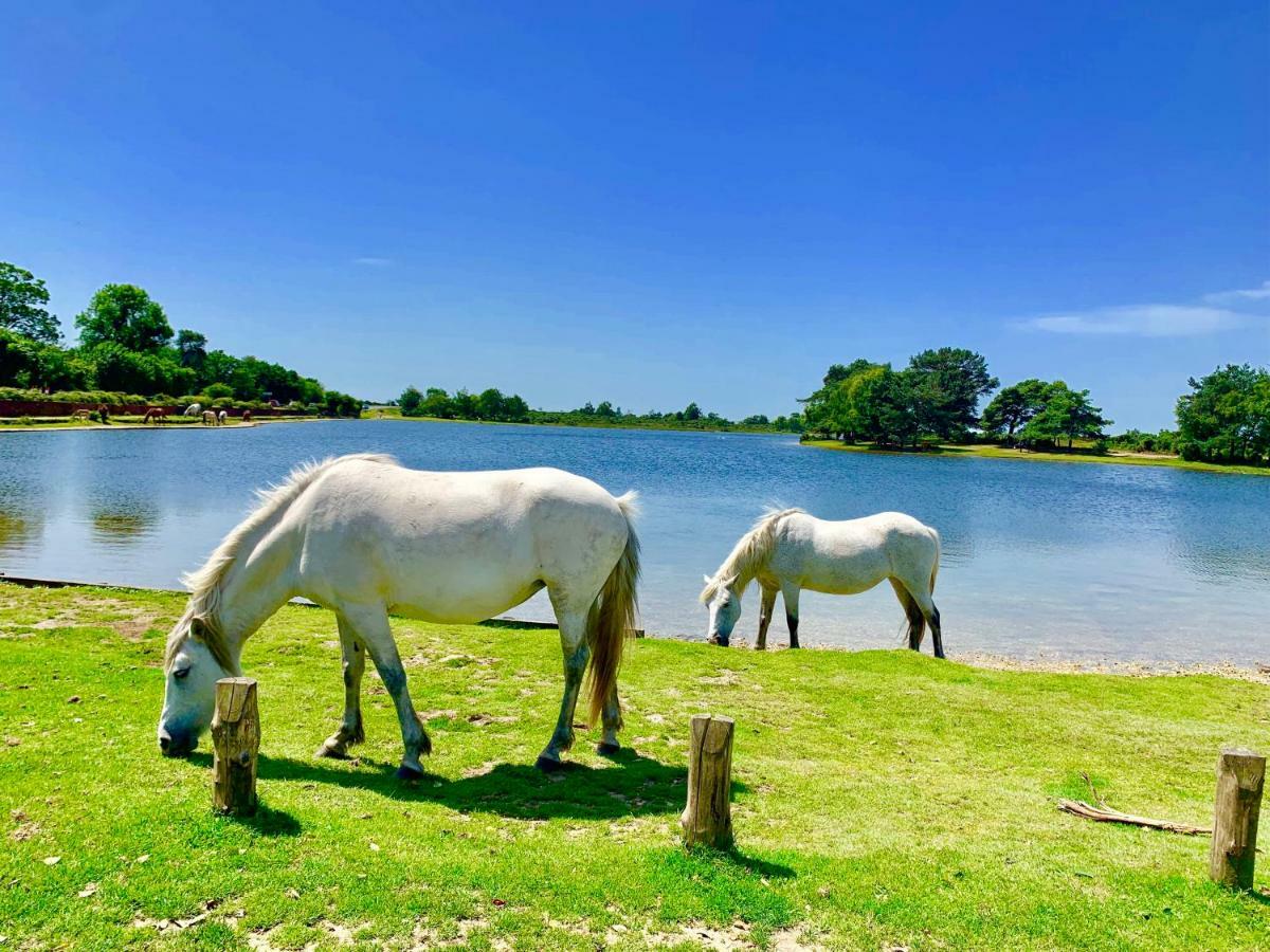 Forest & Beach Access Naish Park Apartment New Milton Luaran gambar